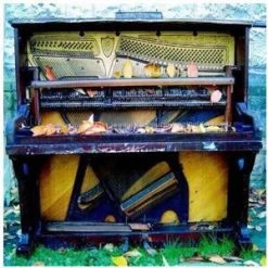 Bracken - We Know About The Need, LP Vinyl