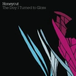 Honeycut - The Day I Turned To Glass, CD
